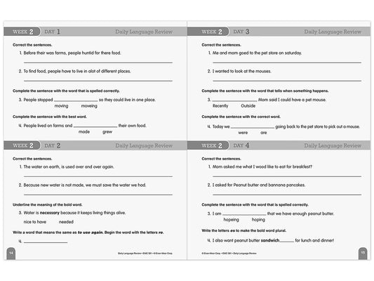 Daily Language Review Workbook - Gr. 3 - US 2318