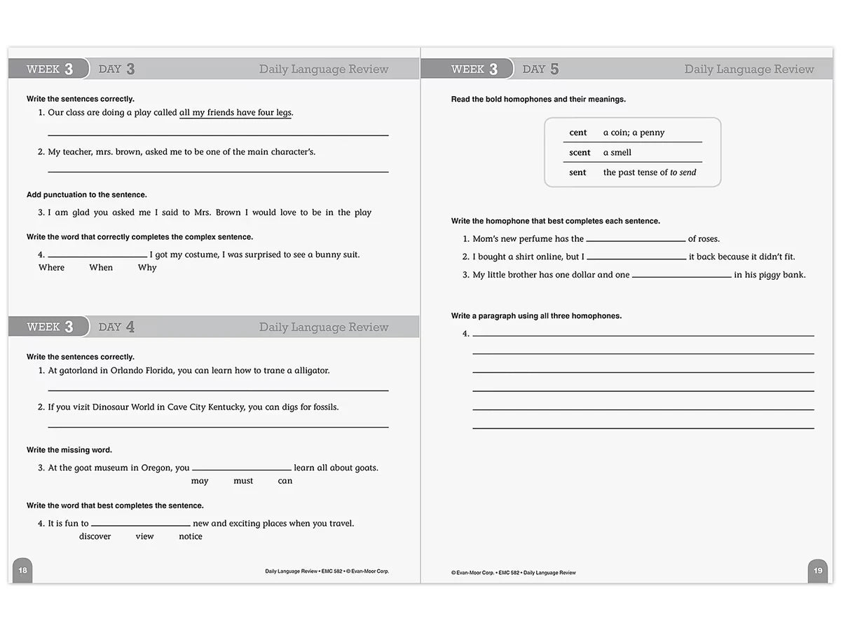 Daily Language Review Workbook - Gr. 4 - US 4565