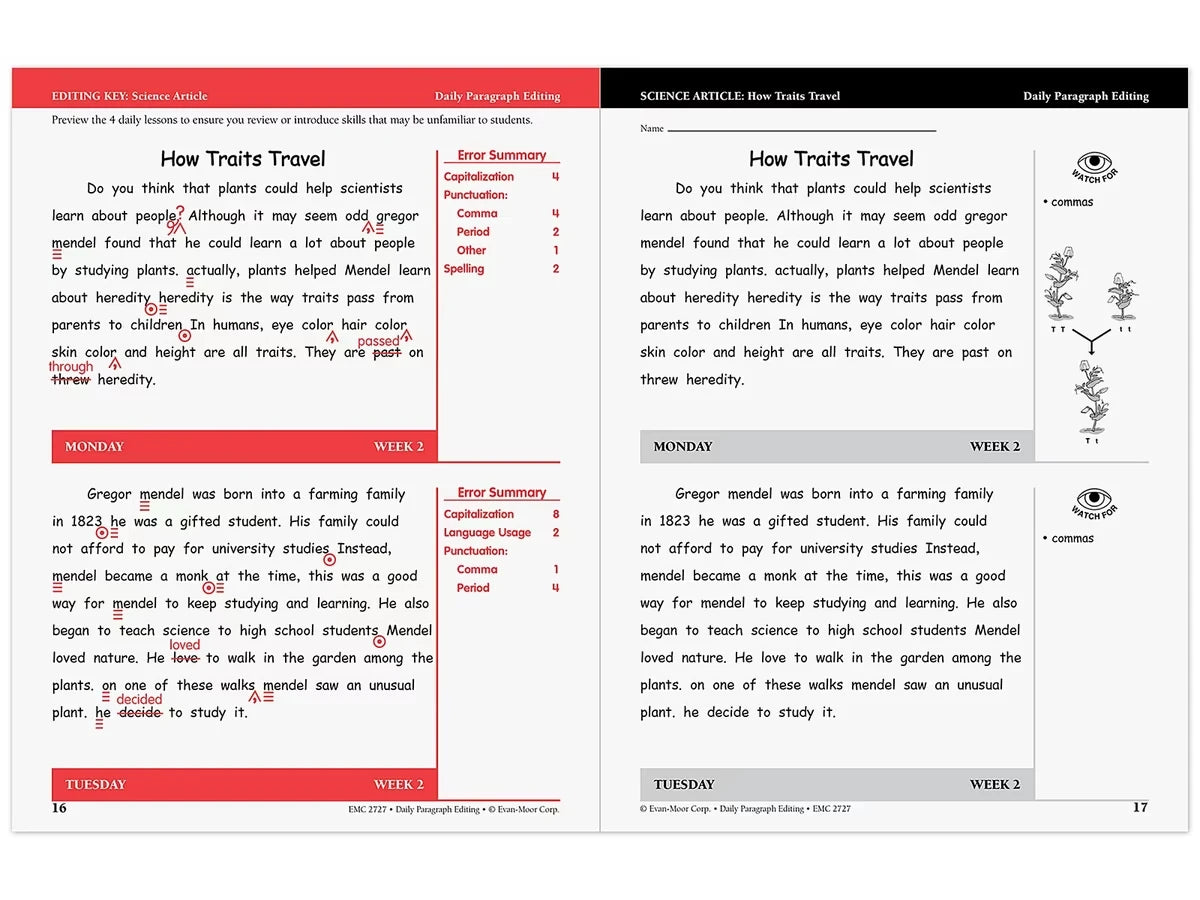Daily Paragraph Editing Workbook - Gr. 4 - US 4037