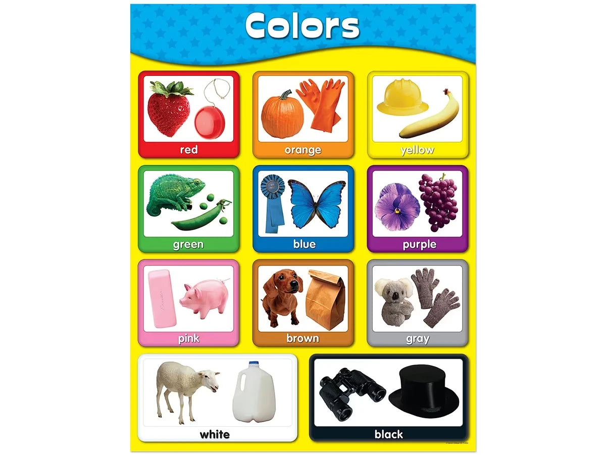 Exploring Colors Poster - US 5141