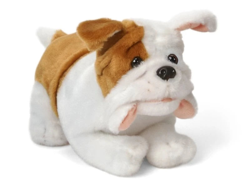 The Pet Vet - US 6933