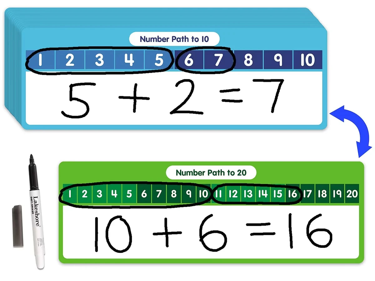 Write & Wipe Student Number Paths - Set of 30 - US 6943