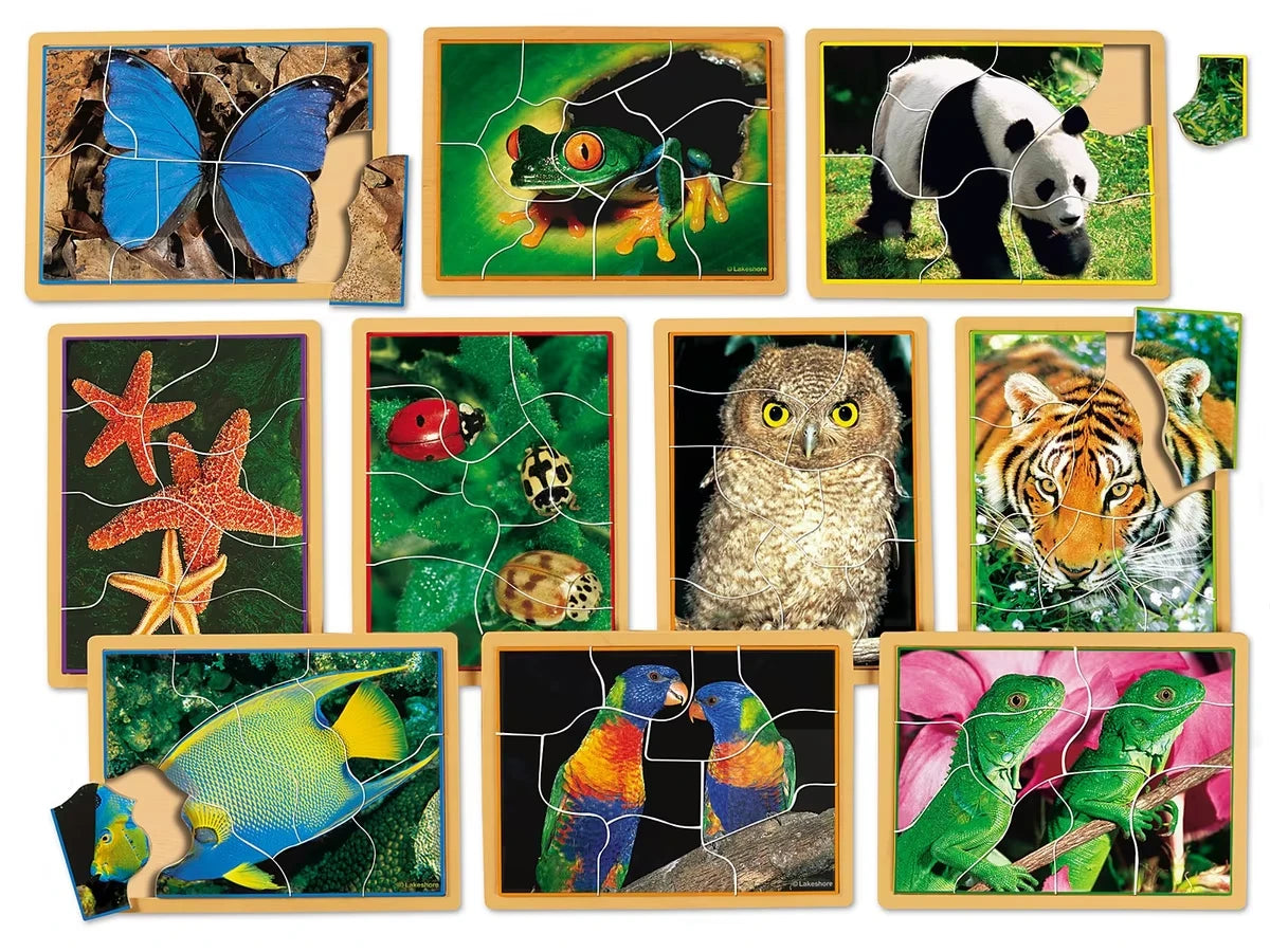 Animals Up Close Puzzle Set - US 1738