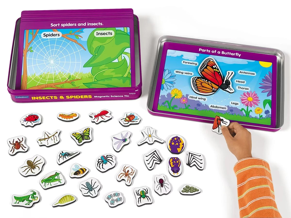 Insects & Spiders Magnetic Activity Tin - US 7481