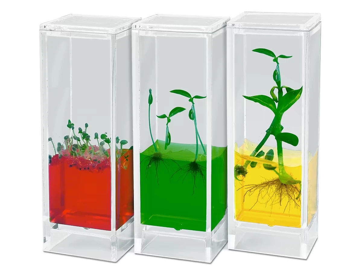 See It Grow Plant Lab - US 2701