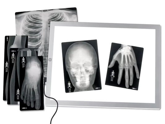 Human X-Rays - Set of 18 - US 2012
