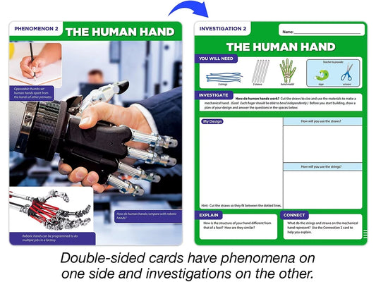 Meet the Standards Human Body Kit - Gr. 4 - US 8329