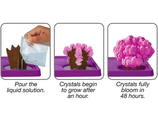 Dinosaurs Magic Crystal Growing Kit - US 2590