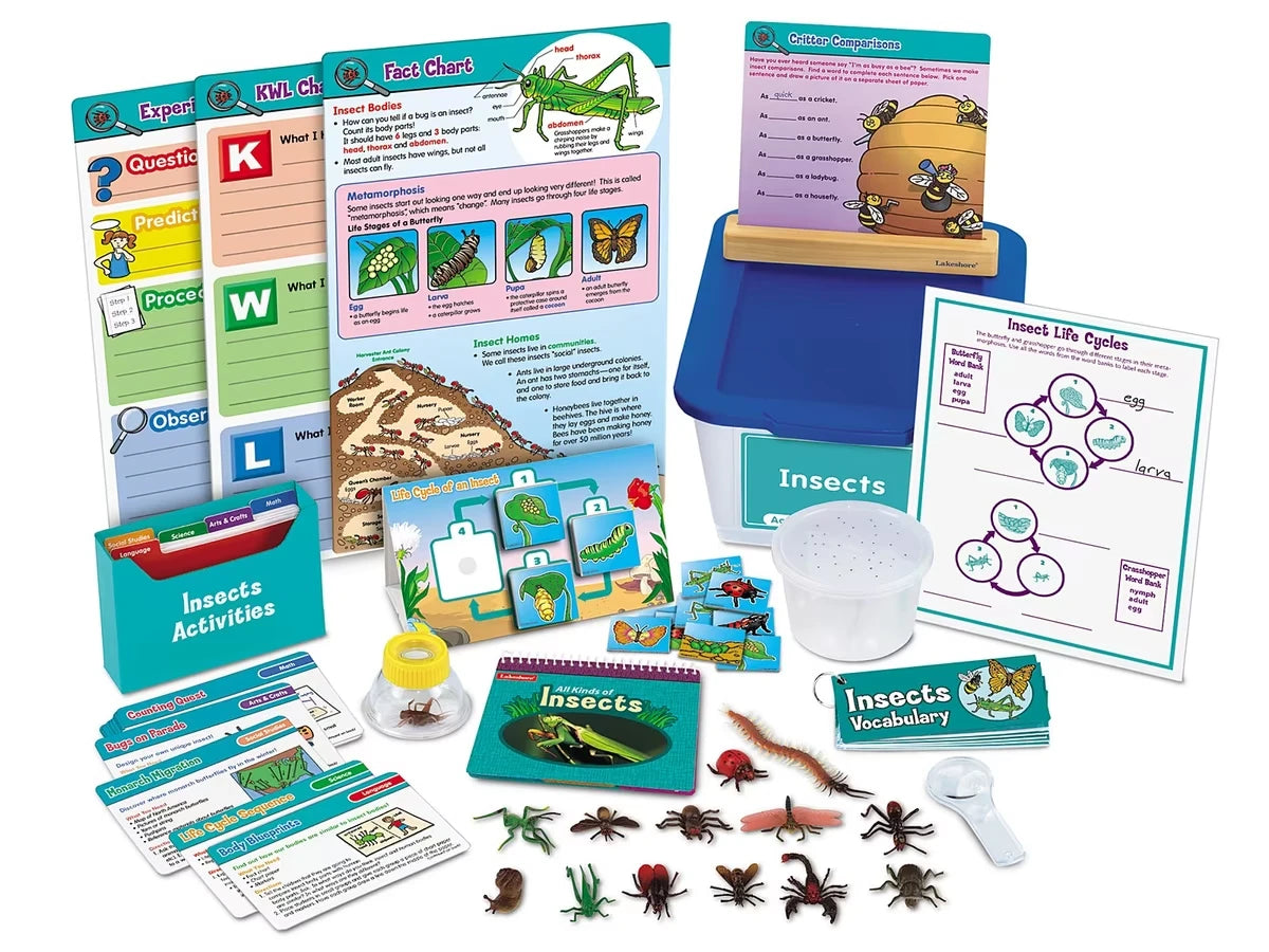 Insects Activity Tub - Gr. 1-3 - US 4004