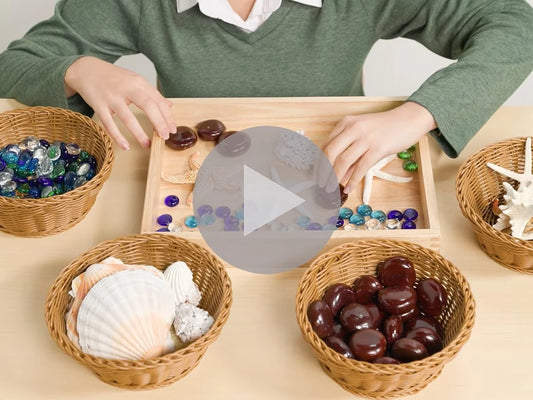 Seaside Wonders Loose Parts Discovery Kit - US 8712
