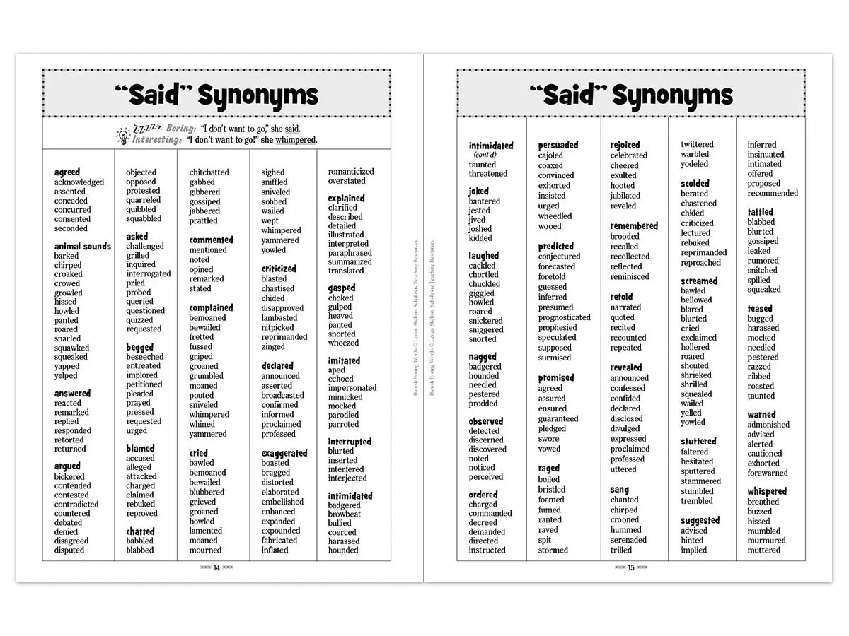 Banish Boring Words Workbook - US 3500