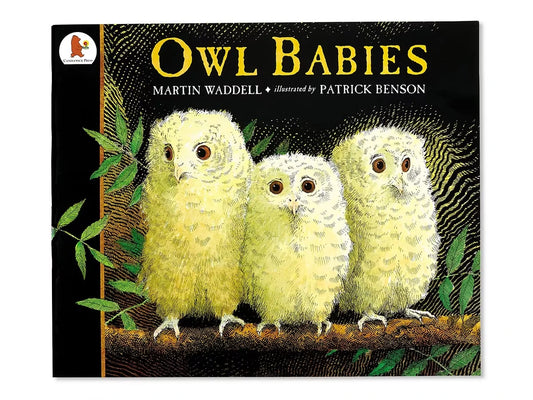 Owl Babies Big Book - US 4262