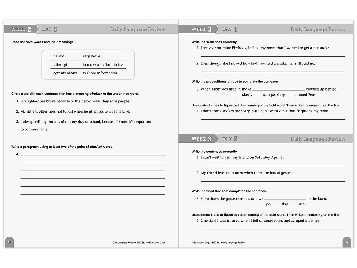 Daily Language Review Workbook - Gr. 4 - US 4565