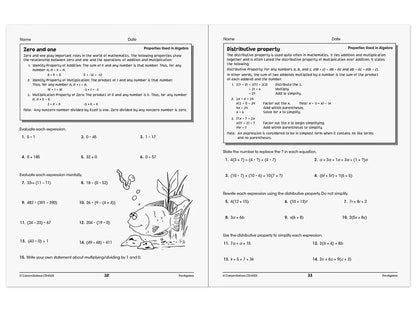 Pre-Algebra Skills for Success Workbook - US 1387