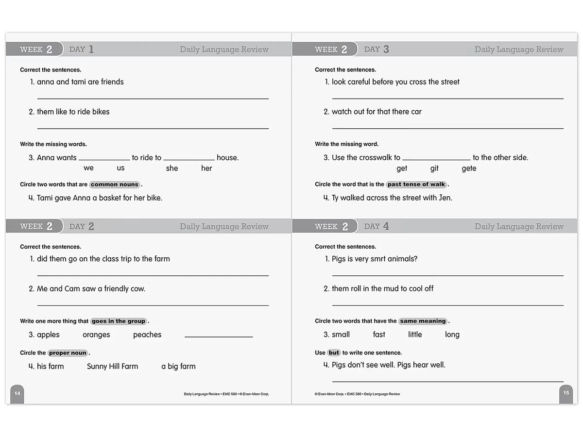 Daily Language Review Workbook - Gr. 2 - US 6125