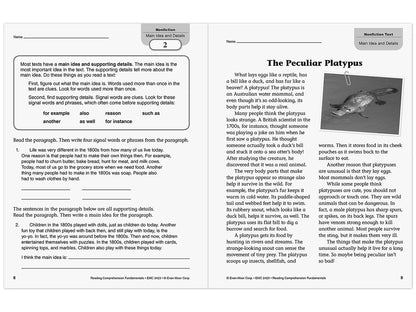 Reading Comprehension Fundamentals Workbook - Gr. 3 - US 7718