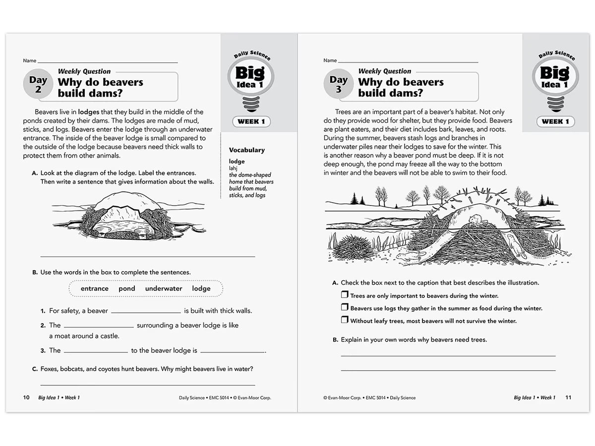 Daily Science Reproducible Activities Workbook - Gr. 4 - US 5350