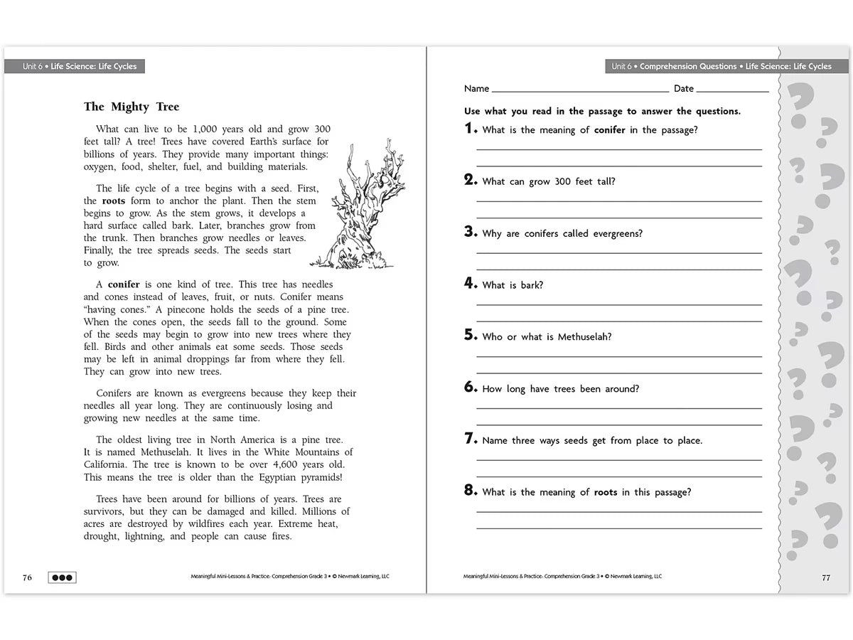 Comprehension Workbook - Gr. 3 - US 9260