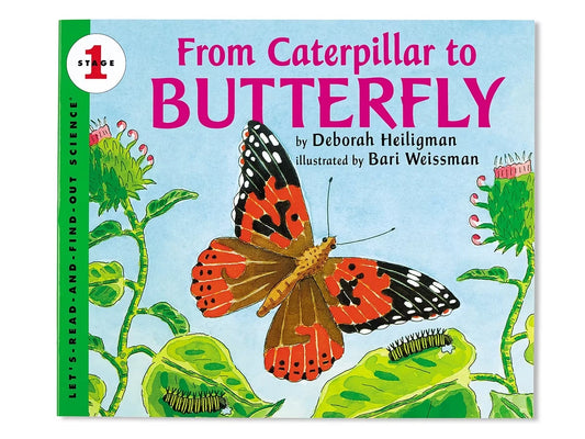 From Caterpillar to Butterfly Big Book - US 4157