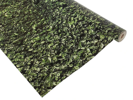 Boxwood Leaves Better Than Paper® Roll - US 6559