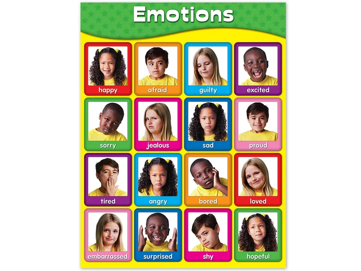 Emotions Photo Poster - US 6816