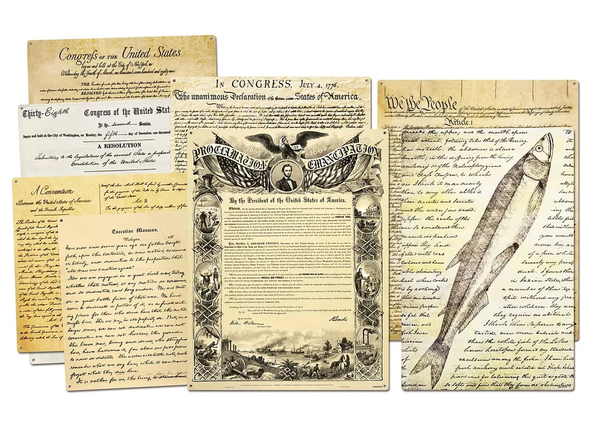 Primary Source Magnetic Poster Pack - US 6055