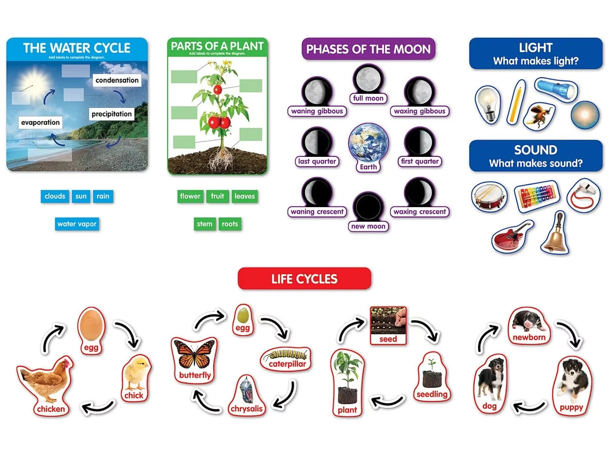Early Science Concepts Bulletin Board Set - US 9489