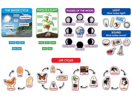 Early Science Concepts Bulletin Board Set - US 9489
