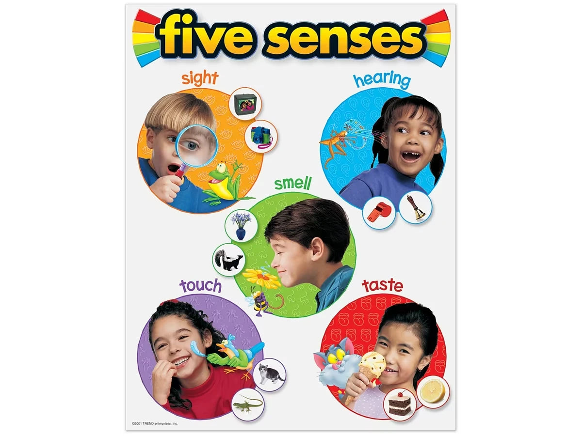Five Senses Photo Reference Poster - US 2811