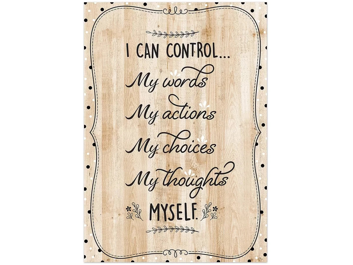 I Can Control… Wooden Poster - US 8331