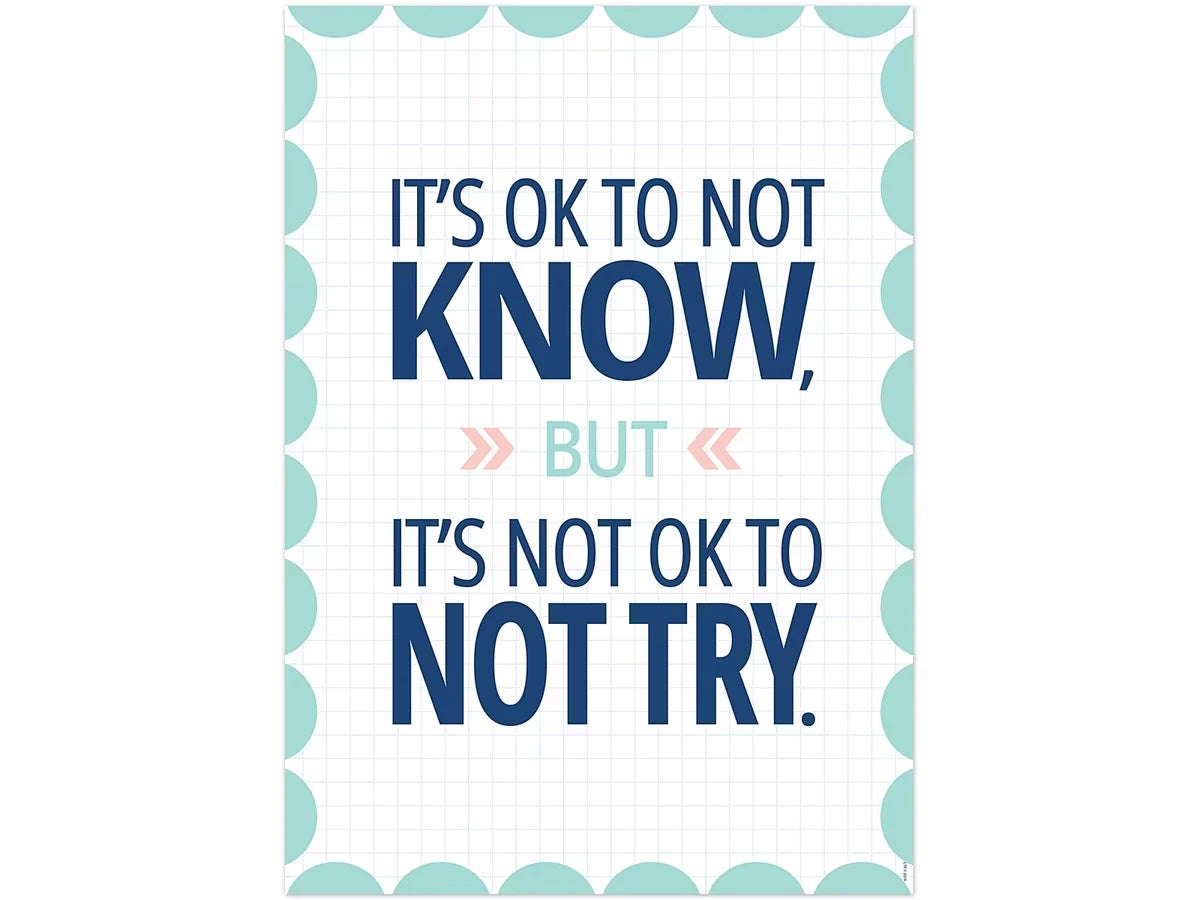 Calm & Cool It’s OK to Not Know Poster - US 5282