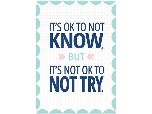 Calm & Cool It’s OK to Not Know Poster - US 5282