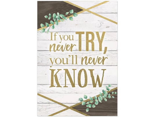 Eucalyptus If You Never Try Poster - US 1600