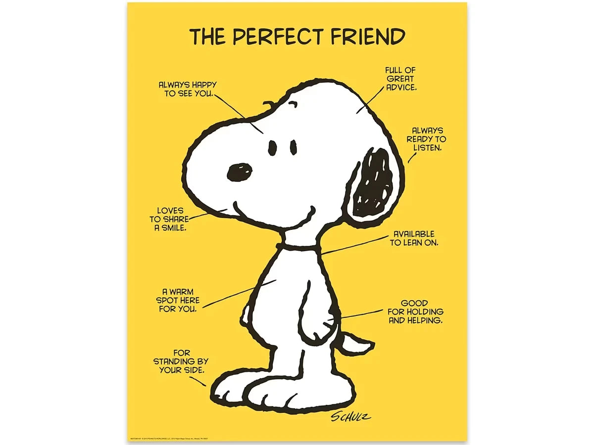 Peanuts® the Perfect Friend Poster - US 1099