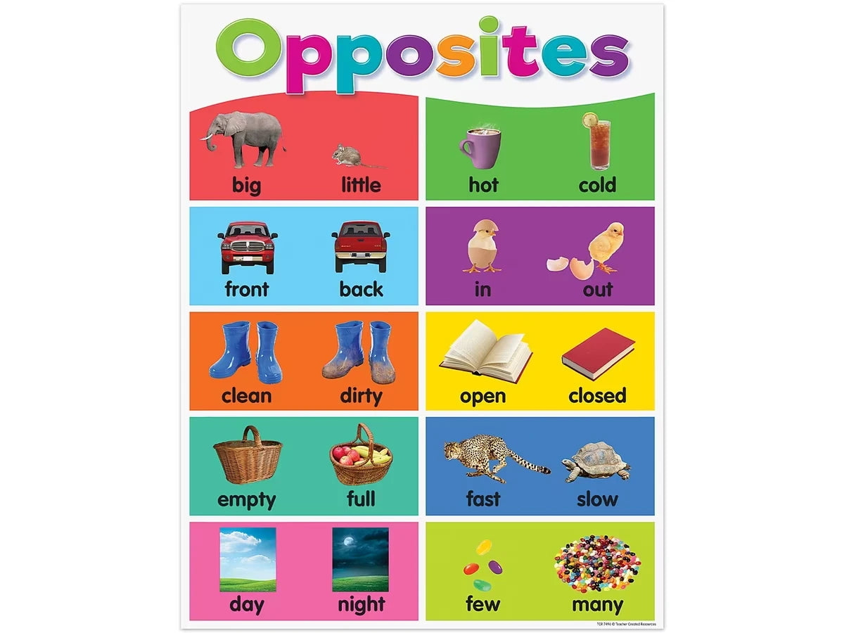 Colorful Opposites Poster - US 2803