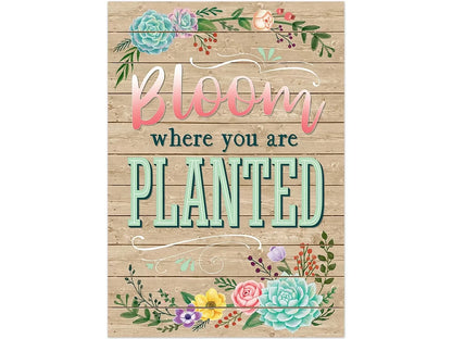 Rustic Bloom - Bloom Where You Are Planted Poster - US 6624