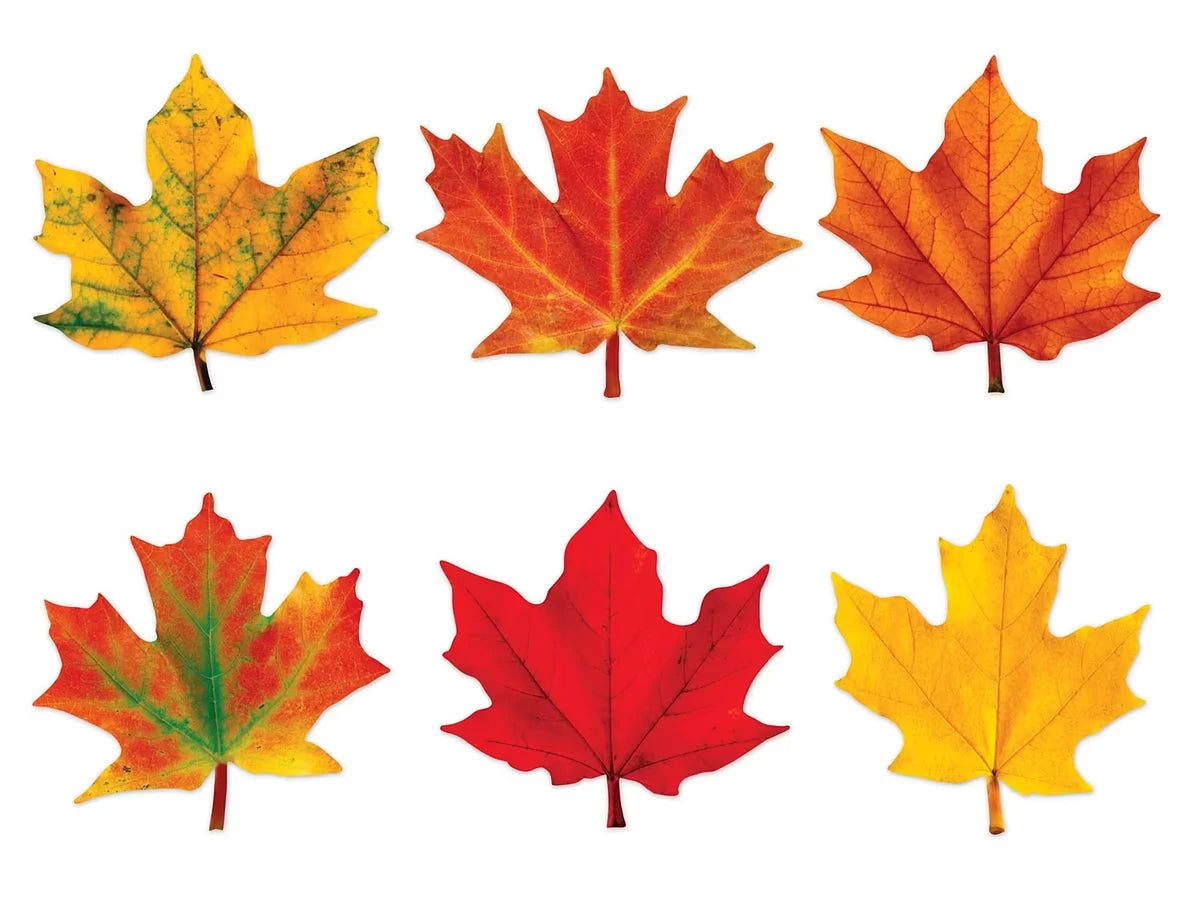 Maple Leaf Mini Accents - US 1103