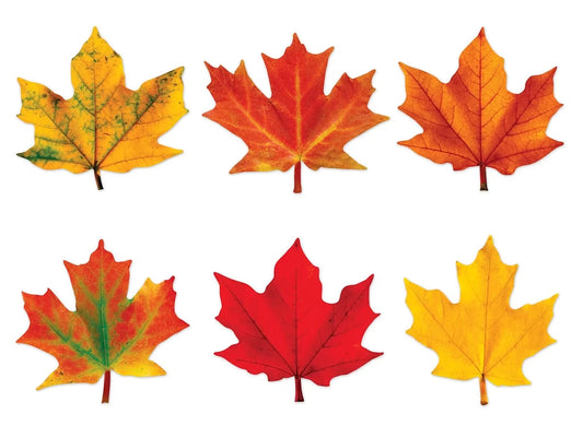 Maple Leaf Mini Accents - US 1103