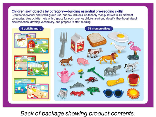 Category Sorting Activity Box - US 4084