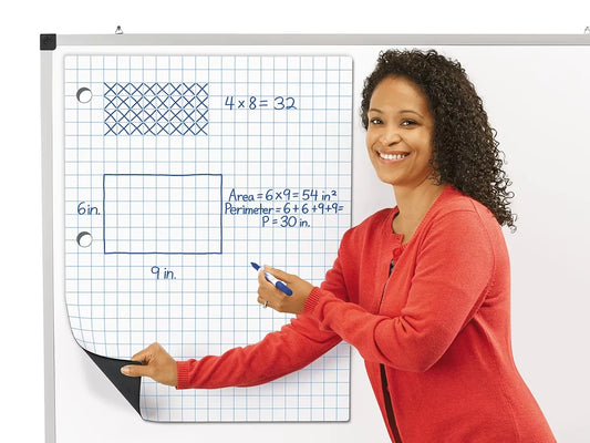 Giant Magnetic Graph & Array Chart - US 9565