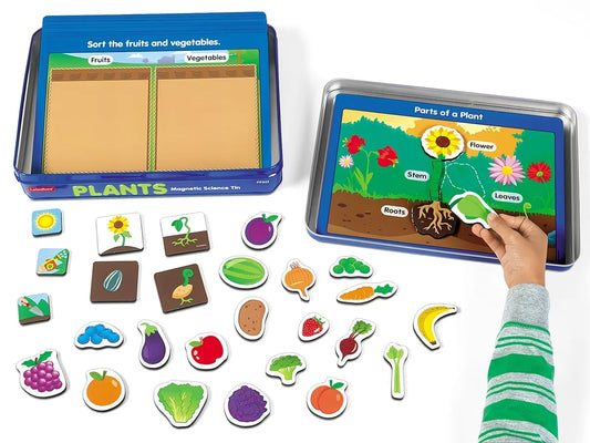 Plants Magnetic Activity Tin - US 5041