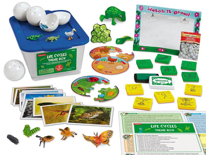 Life Cycles Theme Box - US 4928
