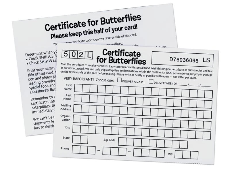 The Butterfly Nursery - US 6061