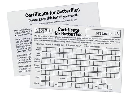 The Butterfly Nursery - US 6061