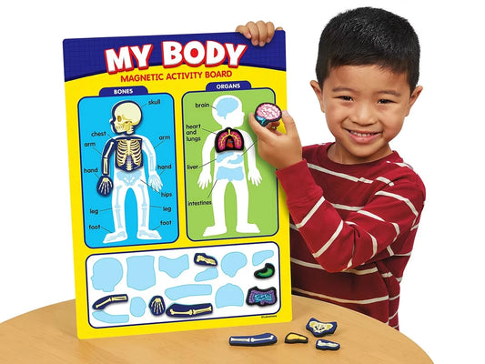 My Body Magnetic Activity Board - US 5887