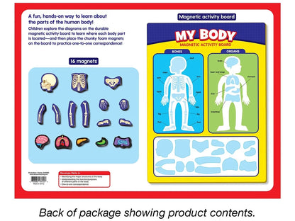 My Body Magnetic Activity Board - US 5887