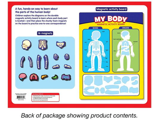 My Body Magnetic Activity Board - US 5887