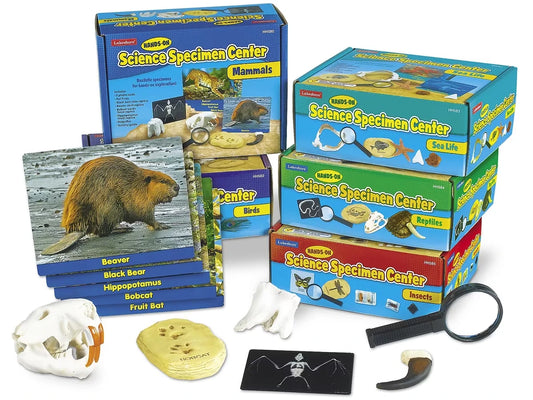 Hands-On Science Specimen Centers - Complete Set - US 5656