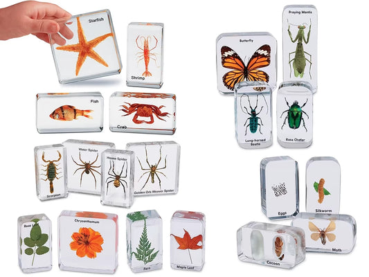 Easy-View Early Science Specimens - Complete Set - US 2395