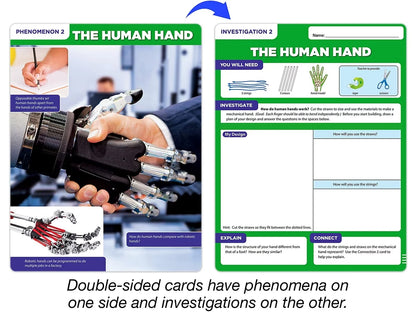 Meet the Standards Human Body Kit - Gr. 4 - US 8329